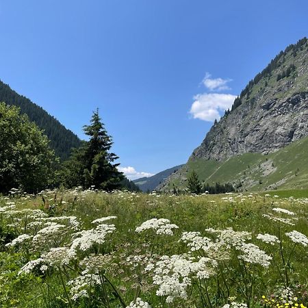 לה פלאנייה T2 Vue Sur Le Parc De La Vanoise מראה חיצוני תמונה