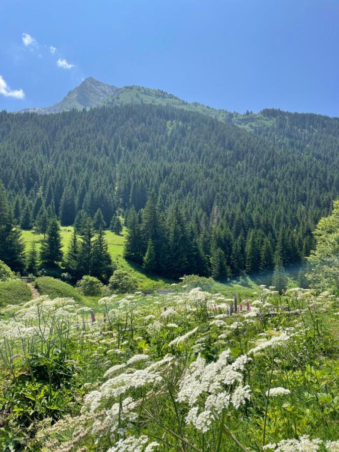 לה פלאנייה T2 Vue Sur Le Parc De La Vanoise מראה חיצוני תמונה