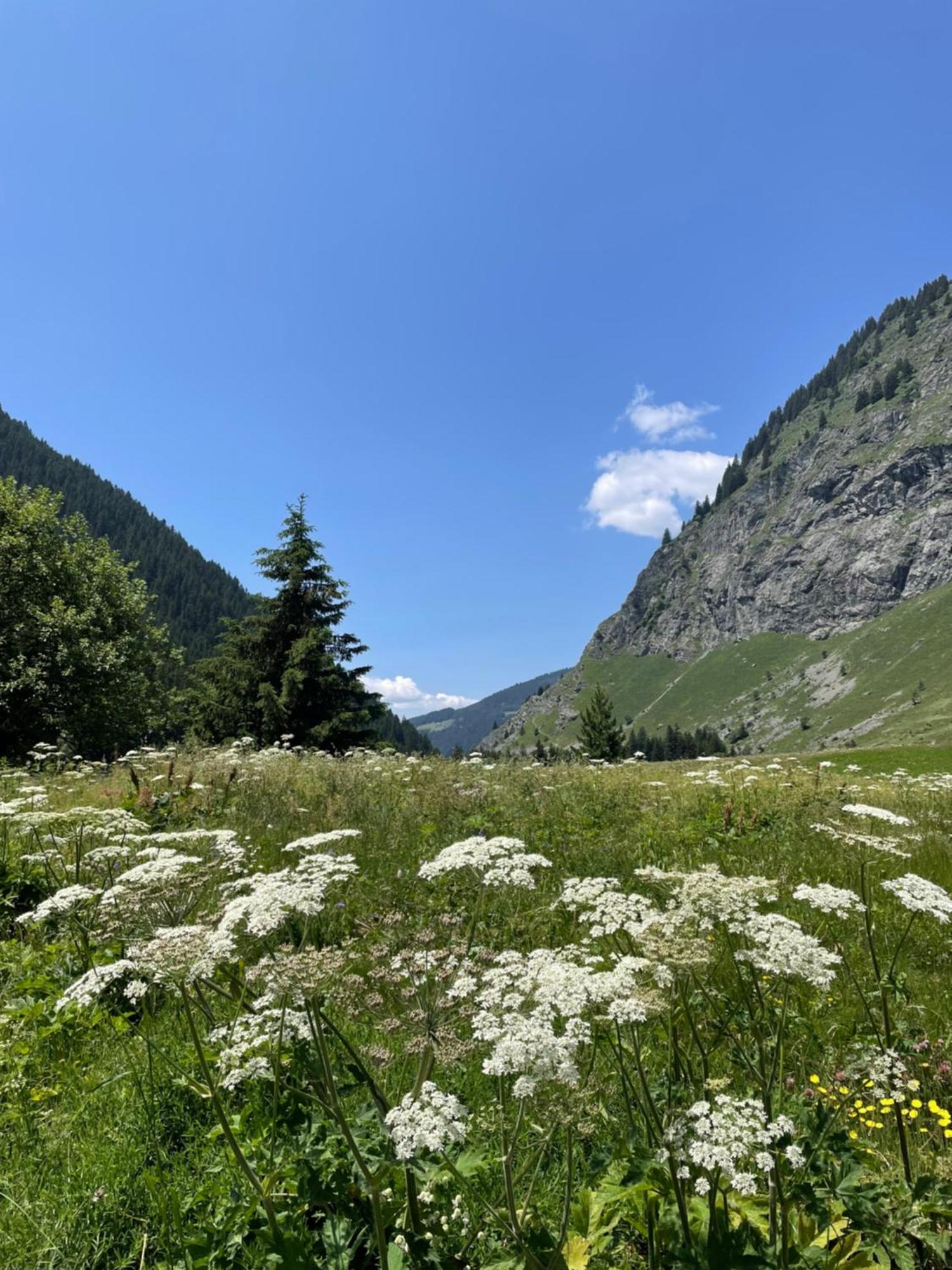לה פלאנייה T2 Vue Sur Le Parc De La Vanoise מראה חיצוני תמונה